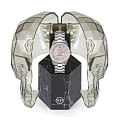 Philipp Plein Philipp Plein Queen PWDAA0321  — детали корпуса и нержавеющая сталь