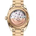 Omega Omega Seamaster Aqua Terra 220.50.41.21.10.001 Aqua Terra наручные мужские часы фото под углом.
