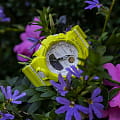 Casio Casio G-Shock GMA-B800-9A, g-shock япония мужские часы на браслете пластик боковой вид
