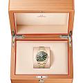 Omega Omega Seamaster Aqua Terra 220.50.41.21.10.001 Aqua Terra — задняя крышка золото корпуса швейцарские часы