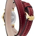 Оригинальные часы Salvatore Ferragamo Salvatore Ferragamo Signature SFDC00418 кварцевые калибр механизма  общий вид