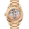 Omega Omega Seamaster Aqua Terra 220.50.38.20.03.001 Aqua Terra, наручные женские часы фото под углом