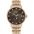 Rado Rado Coupole Diamonds Moonphase R22884903  R22884903 кварцевые женские часы коричневый циферблат, браслет нержавеющая сталь с pvd-покрытием — вид спереди