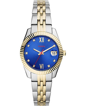 Fossil FB-01  ES4899