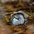 Casio Casio G-Shock GD-120CM-5, g-shock япония мужские часы на браслете пластик боковой вид