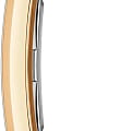 Daniel Wellington Daniel Wellington Bound Crocodile Champagne Sunray Gold DW00100695,  швеция женские часы на браслете кожаный боковой вид