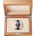 Omega Omega Seamaster Aqua Terra 220.12.41.21.01.001 Aqua Terra наручные мужские часы фото под углом.